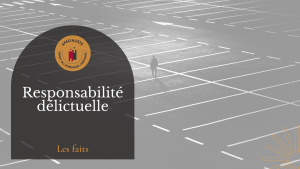 Responsabilité du syndicat des copropriétaires ou responsabilité d'un copropriétaire